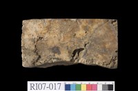 藏品(黑雲母花崗岩)的圖片